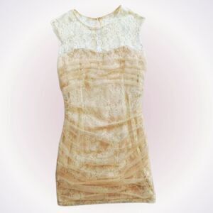 En Creme Tan and Cream Lace Tulle Mini Dress | Sz S